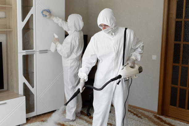 Best HVAC Mold Remediation in Thomaston, GA