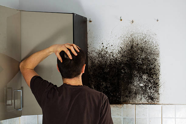 Best Residential Mold Remediation in Thomaston, GA