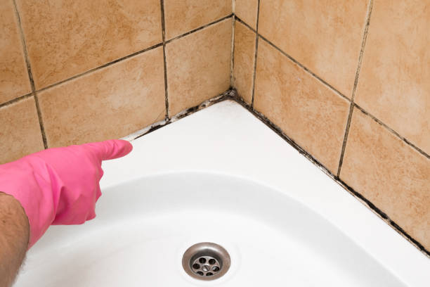 Thomaston, GA Mold Remediation Company